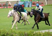 武豊騎手を背に、新馬戦の１週前追い切りを行うマルガ（左）。（カメラ・水納　愛美）