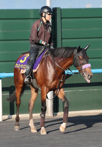 【注目馬動向】函館記念レコードVのヴェローチェエラは札幌記念へ
