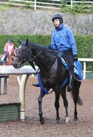 【注目馬動向】青函S2着のティニアは安達太良Sへ転戦　同4着のゾンニッヒはUHB賞へ向かう