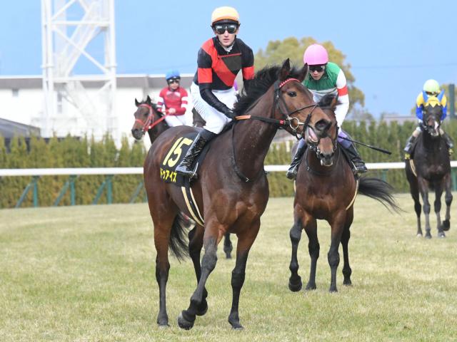 【よもやま話】配当妙味ありの小倉滞在組 攻め気配が目立つ馬をお教えします/馬三郎のつぶやき