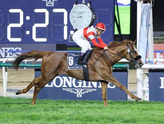 【インターナショナルS】ドバイ・シーマクラシックVのダノンデサイルなどJRA所属馬2頭が予備登録