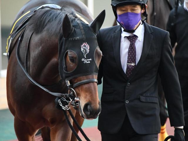 【竜飛崎特別】5億円馬リアド ダート4戦目で2年半ぶりの勝利なるか