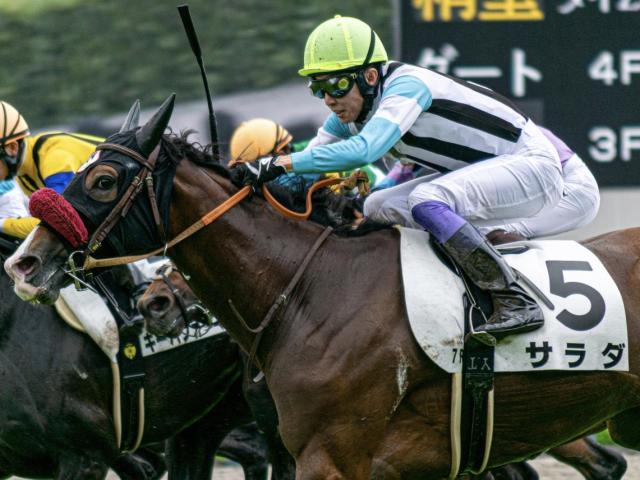 日曜小倉にサラダが出走 「サラダ記念日」に勝利なるか