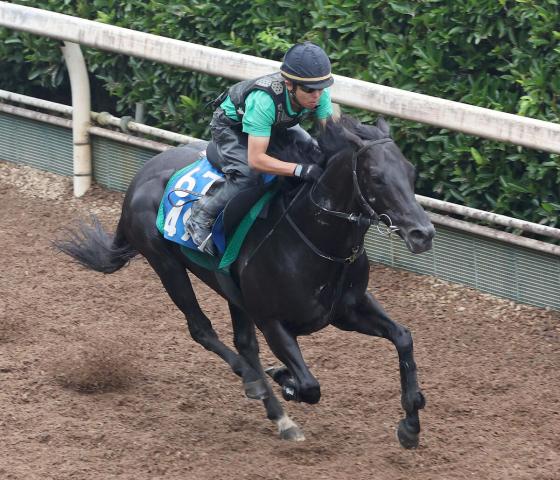 【北九州記念】オタルエバーが坂路で万全仕上げ　中竹調教師「何も言うことがない」