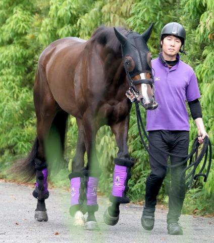 【注目馬動向】オークス馬カムニャックはローズS、日本ダービー3着のショウヘイは神戸新聞杯で始動