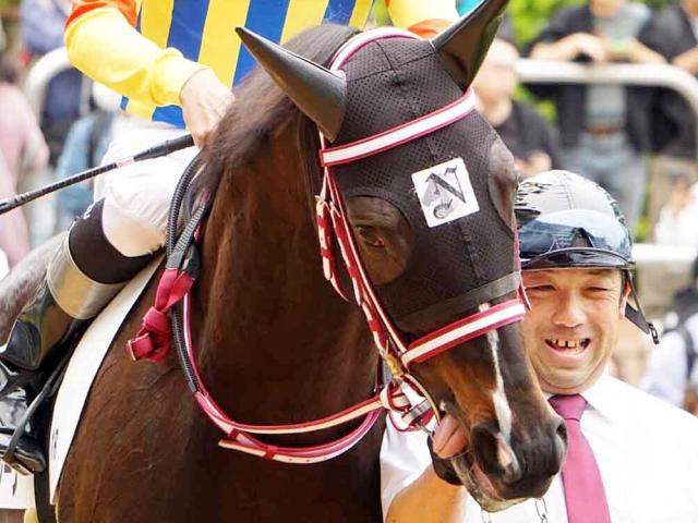 6億円馬の仔ゲンパチルーナ 5馬身差Vの勢いで連勝へ