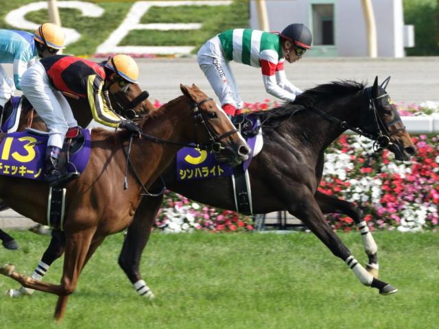母はオークス馬のシンハライト アランカールがデビューVなるか