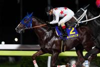 積極的なレースから押し切ったルメール騎乗のミッキーファイト（撮影・河野　光希）