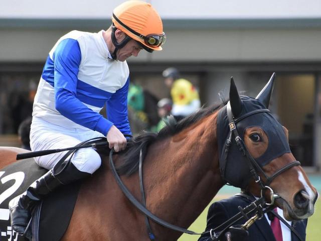中内田調教師×川田騎手の血統馬 ロードラヴォールがデビューVなるか