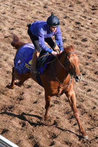 アロヒアリイ、次走・ギヨームドルナノ賞はルメールと新コンビ