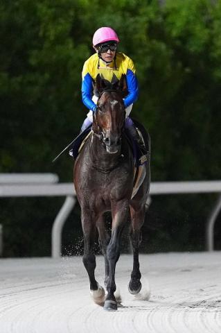 【大井11R・帝王賞】ノットゥルノは3着　武豊はサバサバ「久しぶりに行きっぷりは良かった」