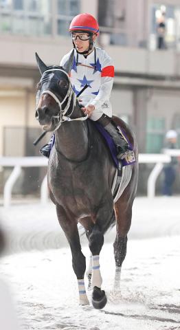 【帝王賞】アウトレンジは直線猛追も首差届かず2着　松山弘平騎手「最後までリズム良くしっかり走ってくれました」
