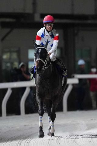 【大井11R・帝王賞】アウトレンジは強襲及ばず2着　松山「差のない競馬ができただけに悔しい」