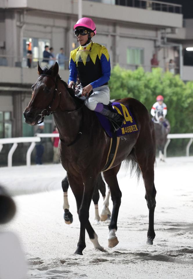 【地方競馬】帝王賞　ノットゥルノは意地見せて３着　武豊「出して行かなくても行きっぷりが良かった」