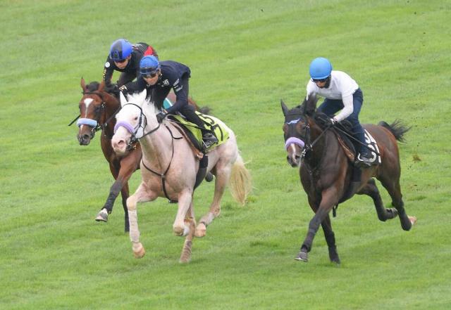 来週函館でデビュー予定!ソダシ妹の白毛馬マルガ　武豊が手応え「凄くいい」