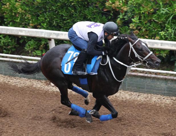 【北九州記念】メイショウソラフネ　鋭い伸びが光る　石橋師「先週も時計が出ているし、いい調教」