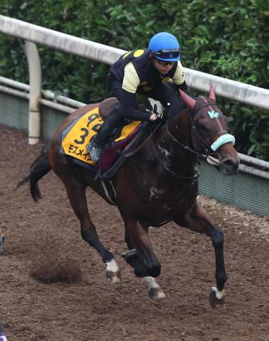 【北九州記念】モズメイメイ　休み明けも順調　前川師「動きは良かった」