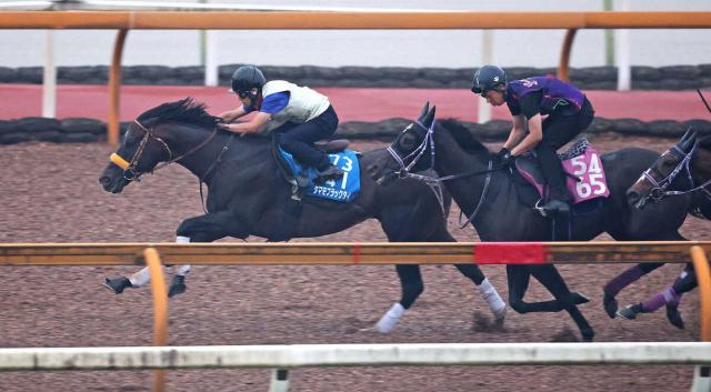 【北九州記念】タマモブラックタイ　超抜の伸び披露　角田師「いい反応。体調は安定している」