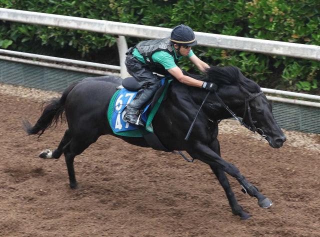 【北九州記念】オタルエバー　中竹師も大絶賛「何も言うことがない」前走の大逆襲Vフロックではない