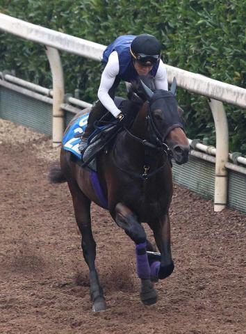 【北九州記念】ロードフォアエース　態勢万全!坂路4F52秒6　友道師は満足げ「順調に来ている」