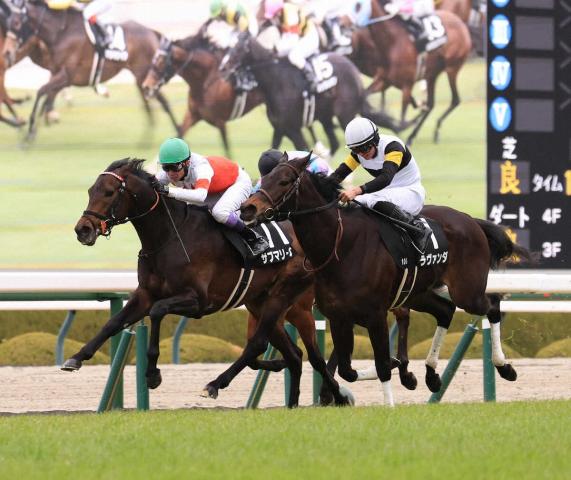 新潟大賞典2着サブマリーナは武豊とコンビ継続でチャレンジCへ