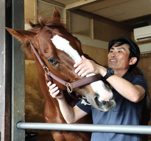 帝王賞を制したミッキーファイトは激戦後も大きな疲れはなし　陣営「まだもう少し良くなると思う」