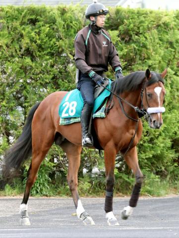 【POG】セレクト2億円超ショウナンガルフが6日函館でデビュー　池添謙一騎手「この馬のために」復帰