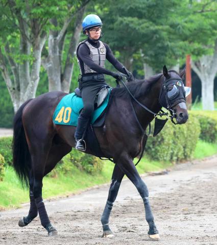 【POG】レコード馬の半弟ラディアントスターは初戦から好勝負必至　林調教師「及第点以上の動き」
