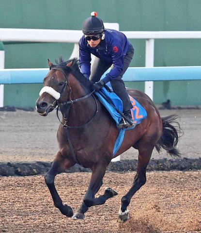 【七夕賞1週前追い切り】パラレルヴィジョン復活へ調整順調　国枝調教師「右回りの小回りはいい」