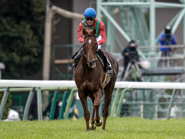【有力馬動向】コスモフリーゲン初重賞でも期待十分/馬三郎のつぶやき