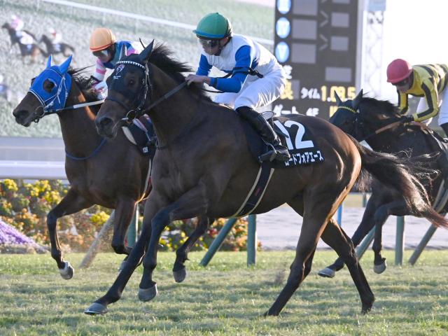 【北九州記念出走馬・騎手確定】ロードフォアエース＆川田将雅騎手、ヨシノイースター＆内田博幸騎手など18頭