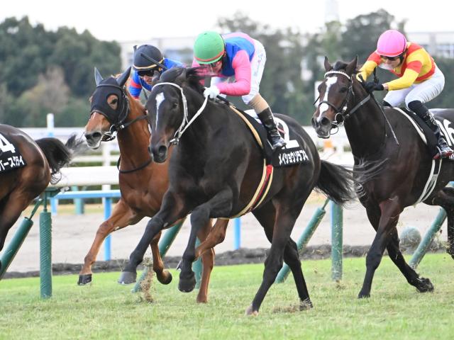 【週末情報】メイショウソラフネ前向き/馬三郎のつぶやき