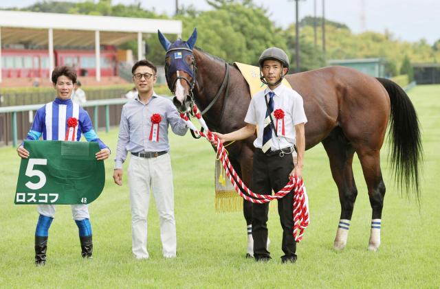 2024年の小倉サマージャンプ優勝のロスコフが競走馬登録を抹消　JRA通算27戦5勝