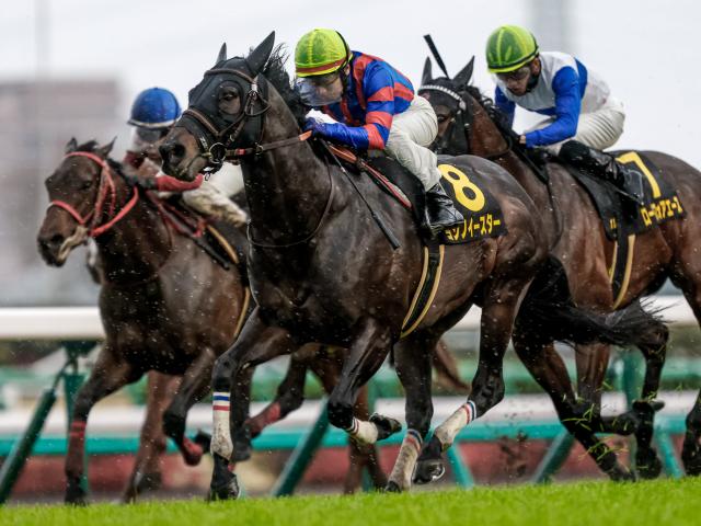 【北九州記念予想】幅広い年齢の馬が活躍するも高齢馬は大苦戦！ 昨年2着の有力馬も該当した消去法データとは