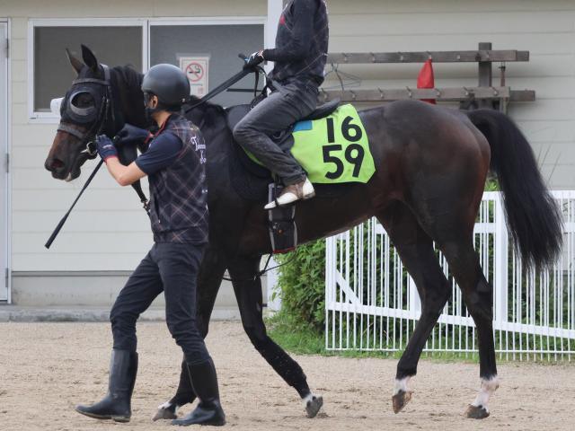 【JRA新馬戦】オークス馬シンハライトの仔アランカールなどがデビュー