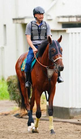【福島新馬戦】タイダルロック　仕上がりは万全　武井師「心肺機能はかなり高い」