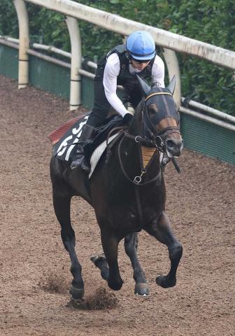 【北九州記念】3歳馬クラスペディア軽快!開業2年目河嶋厩舎初の重賞Vへ気合十分