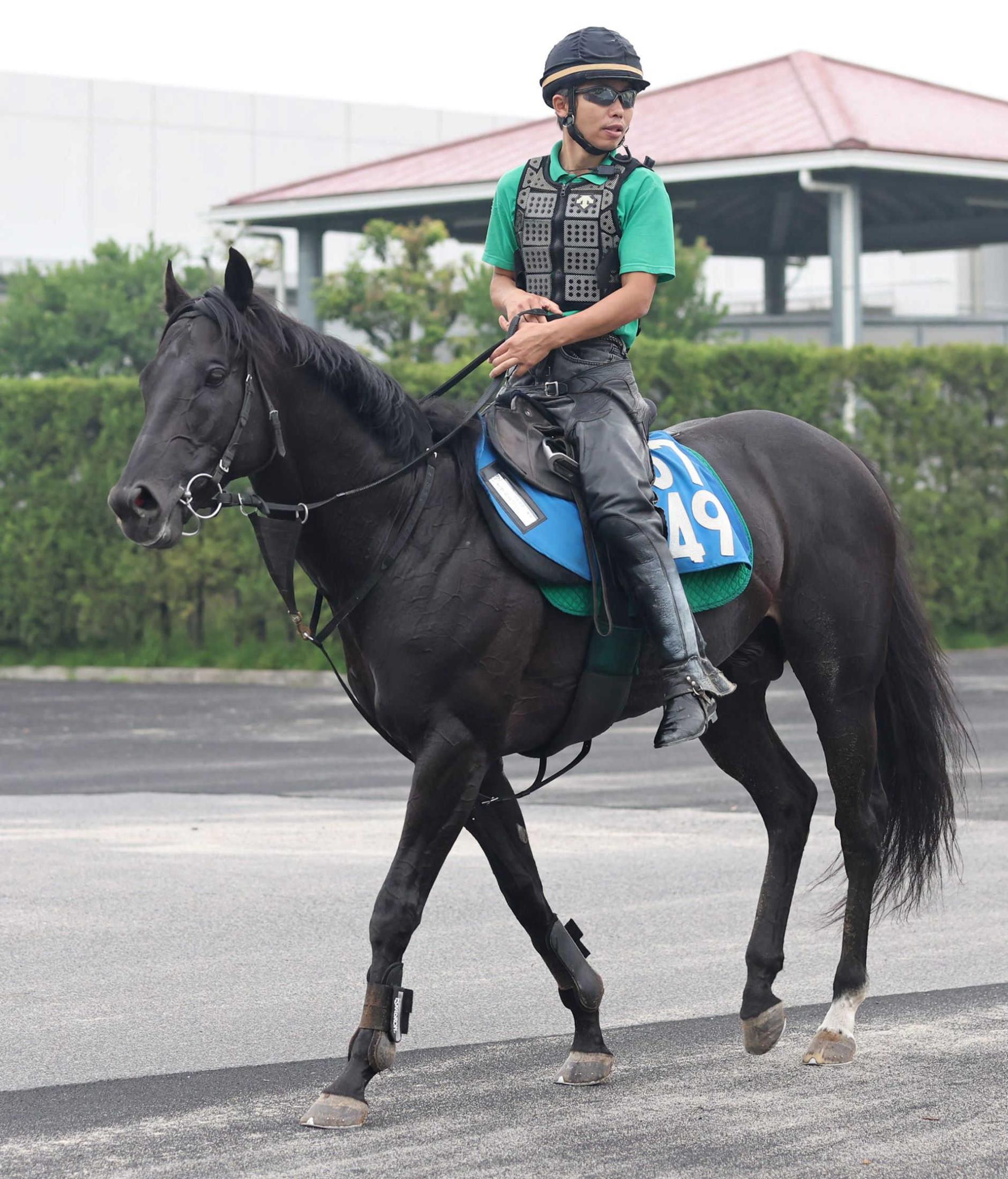 【北九州記念】中竹師　オタルエバー＆スリーアイランド２頭出しで大波乱再現へ　状態に太鼓判「追い切りが抜群だった」