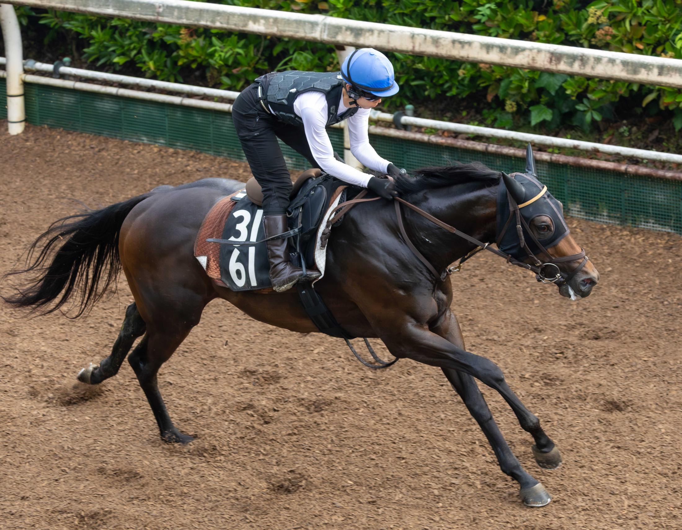 【北九州記念】クラスペディア　リズム良く登坂　河嶋師「いい時計。動きも納得」　初タイトル奪取へ積極策も