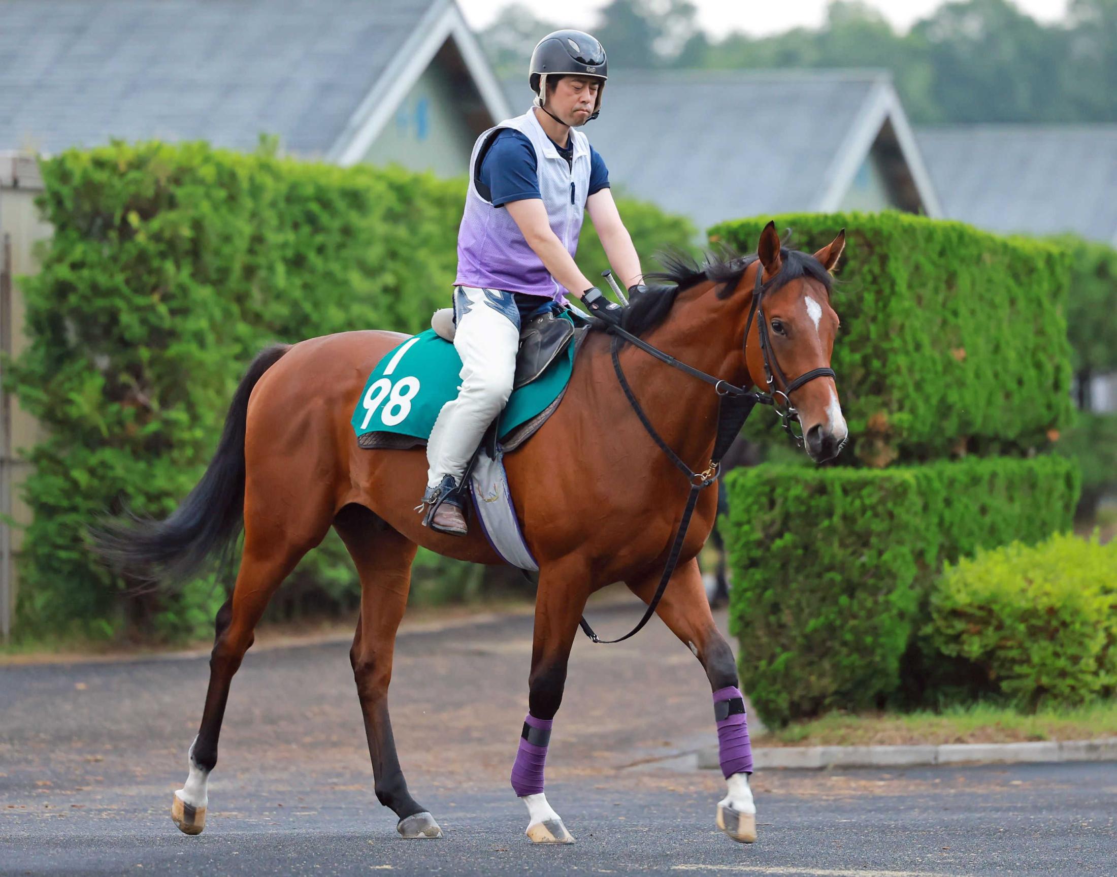 【新馬戦】コロナドブリッジ　調整順調　ドゥアイズ、エイボンクリフら姉の背中追う　庄野師「ひと回り大きくゆったり走れる」