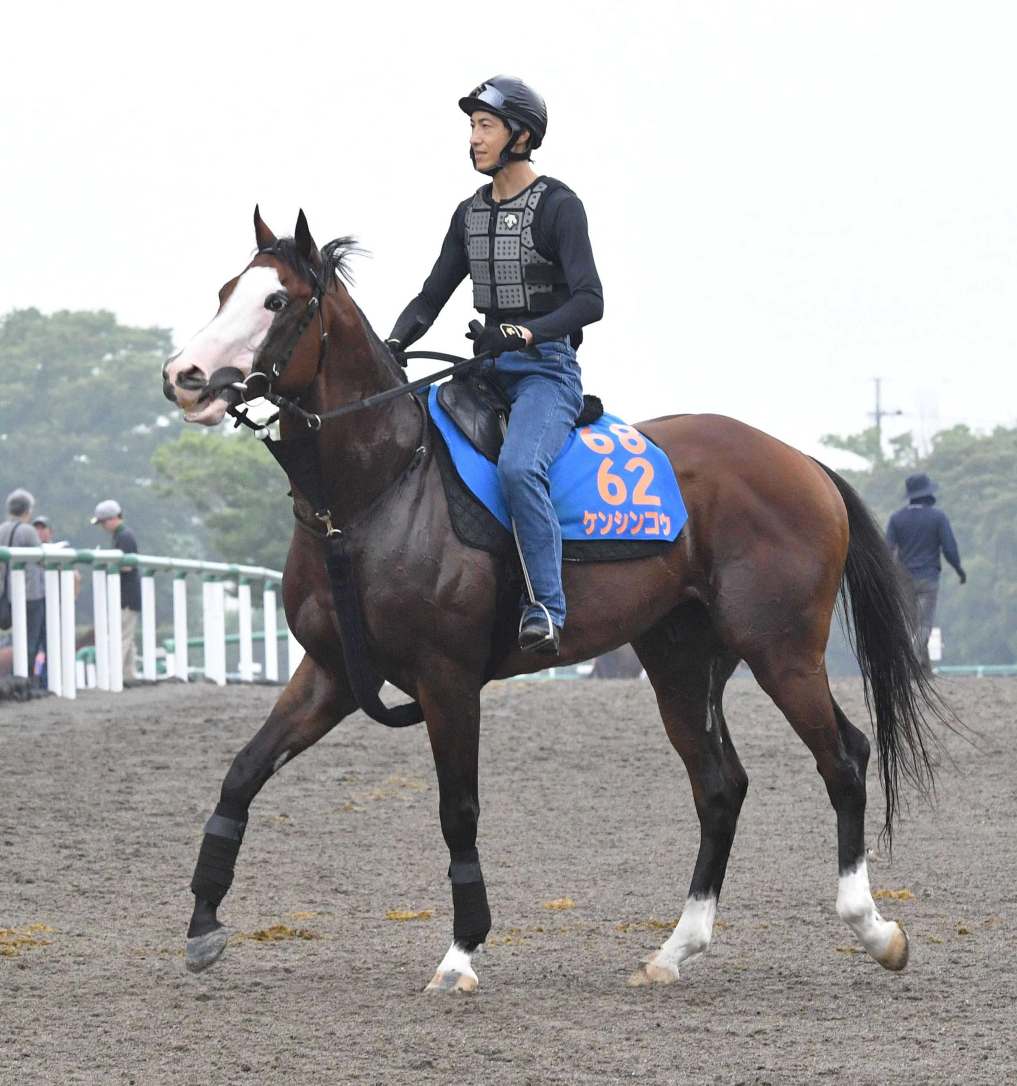 【ジュライＳ】“ブサカワ”？顔の毛色に白まじりの個性派・ケンシンコウ　得意の福島ダート千七戦で復帰Ｖだ