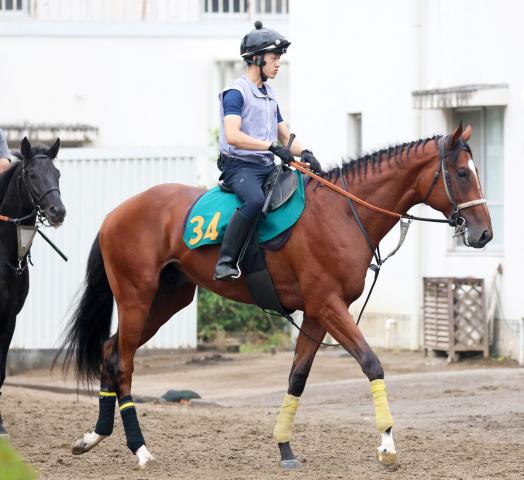 【POG】叔父は今年の日本ダービー馬クロワデュノール、タイダルロック大物感ある動き