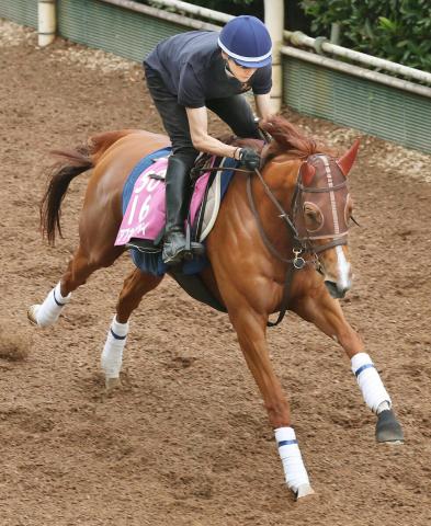 【北九州記念】重賞連勝狙うアブキールベイは7枠14番　13戦12連対のロードフォアエースは7枠15番　枠順決定