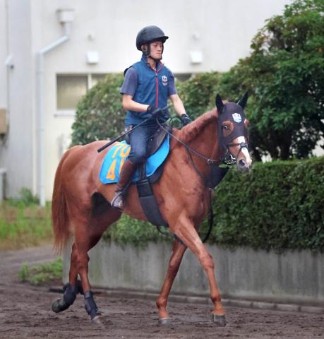 【ジュライS】ジョージテソーロは昇級初戦でポジションがカギ　菅原明良騎手「もまれなければ」