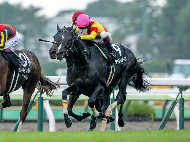 【大沼S】逃げ馬が好成績 軸として安定感のある年齢は？