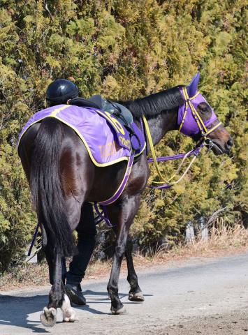 【注目馬動向】帝王賞2着のアウトレンジは放牧へ　青函S3着のペアポルックスはキーンランドCで反撃狙う