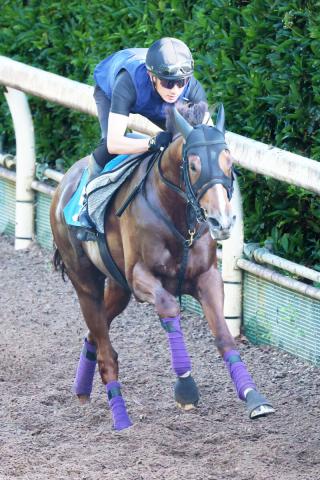 【注目馬動向】母ヴィブロスの良血シヴァースは関屋記念で伯母ヴィルシーナの主戦だった内田博幸騎手と初コンビ