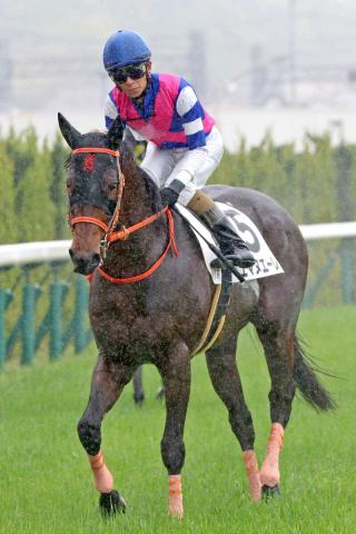 【TVh杯】前走9着のエマヌエーレが一変狙う　陣営「使った上積みで、気合が乗ってきている」