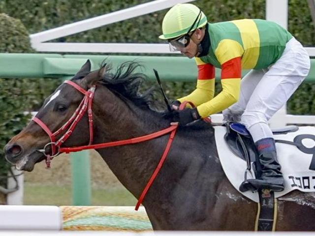 福島ダートは圧倒的に逃げ先行有利 エコロアゼルの押し切りだ