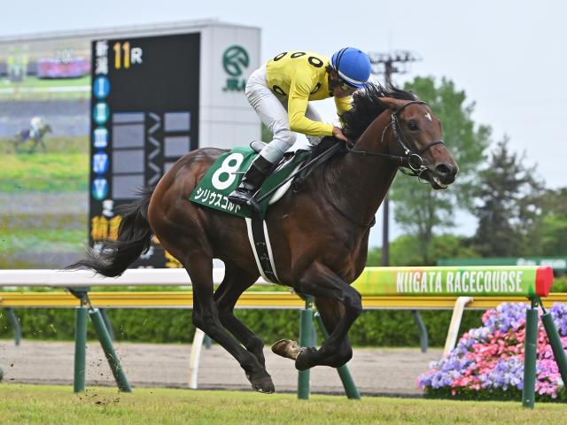【七夕賞想定馬・騎手】シリウスコルト、ドゥラドーレスなど14頭
